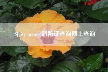 睢县消防证查询网上查询