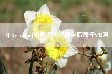 睢县中国消防救援学院属于985吗