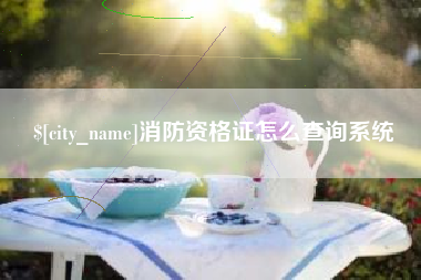 睢县消防资格证怎么查询系统