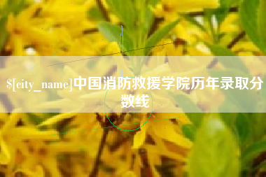 睢县中国消防救援学院历年录取分数线
