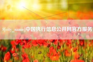 睢县中国执行信息公开网官方服务