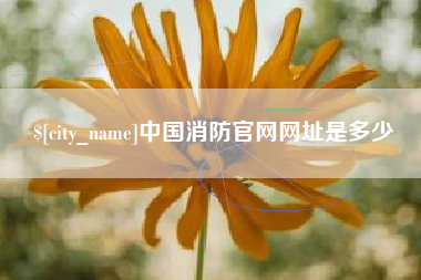 睢县中国消防官网网址是多少