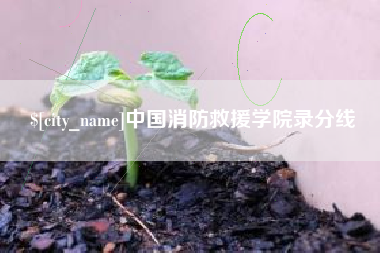 睢县中国消防救援学院录分线