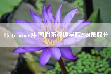 睢县中国消防救援学院2020录取分