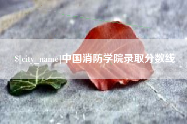 睢县中国消防学院录取分数线