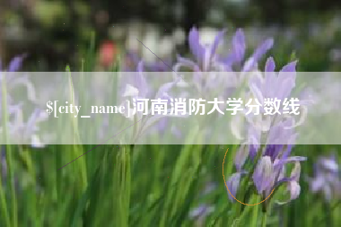 睢县河南消防大学分数线