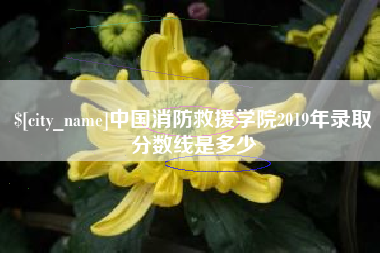 睢县中国消防救援学院2019年录取分数线是多少