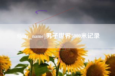 睢县男子世界5000米记录