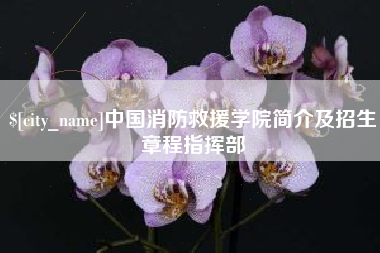 睢县中国消防救援学院简介及招生章程指挥部