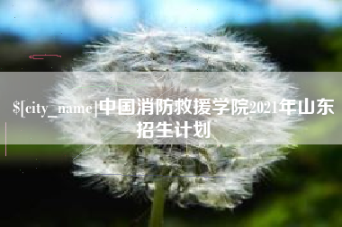 睢县中国消防救援学院2021年山东招生计划
