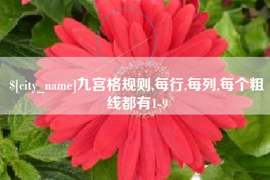 睢县九宫格规则,每行,每列,每个粗线都有1-9