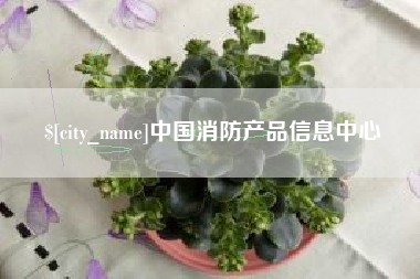 睢县中国消防产品信息中心