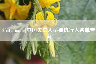 睢县中国失信人员被执行人名单查询