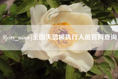 睢县全国失信被执行人员官网查询
