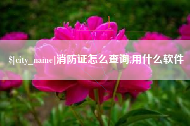 睢县消防证怎么查询,用什么软件