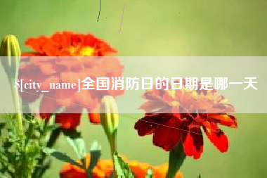 睢县全国消防日的日期是哪一天