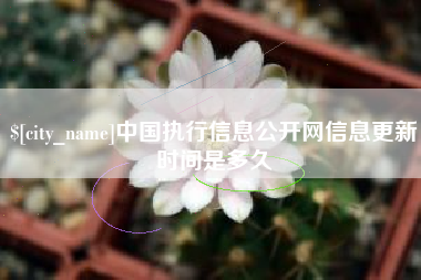 睢县中国执行信息公开网信息更新时间是多久