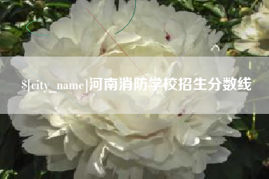 睢县河南消防学校招生分数线