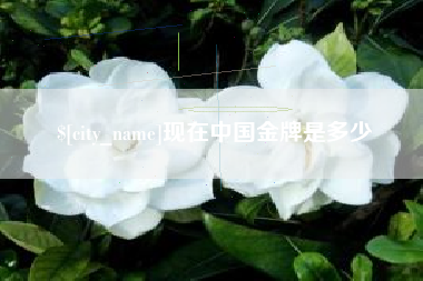 睢县现在中国金牌是多少