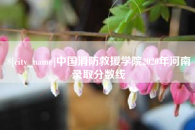 睢县中国消防救援学院2020年河南录取分数线