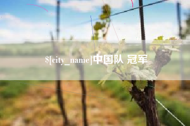 睢县中国队 冠军