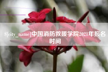 睢县中国消防救援学院2021年报名时间