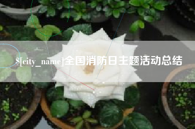睢县全国消防日主题活动总结