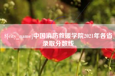 睢县中国消防救援学院2021年各省录取分数线