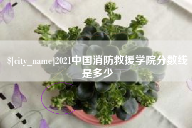 睢县2021中国消防救援学院分数线是多少