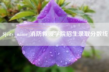睢县消防救援学院招生录取分数线