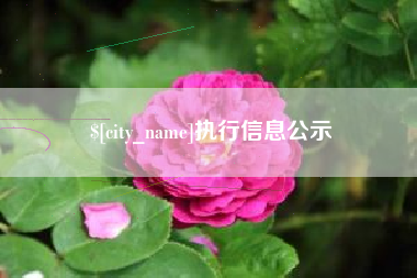 睢县执行信息公示