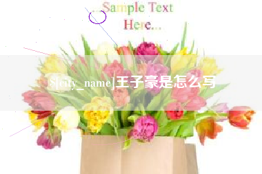 睢县王子豪是怎么写