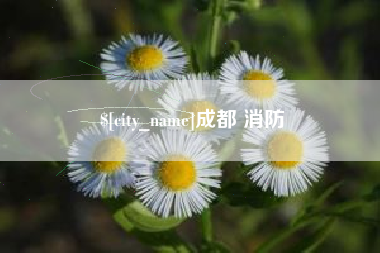 睢县成都 消防