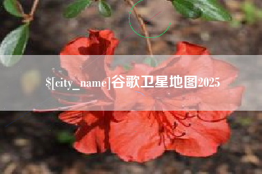 睢县谷歌卫星地图2025