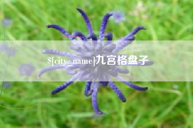 睢县九宫格盘子