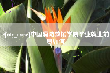 睢县中国消防救援学院毕业就业前景如何