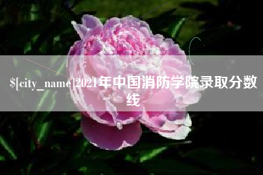 睢县2021年中国消防学院录取分数线