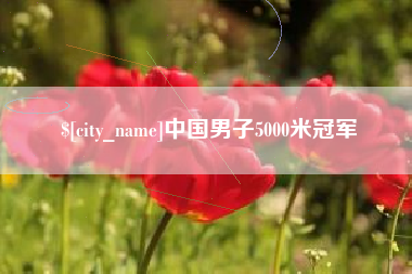 睢县中国男子5000米冠军