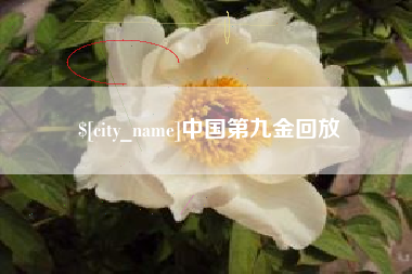 睢县中国第九金回放