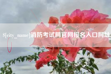 睢县消防考试网官网报名入口网址