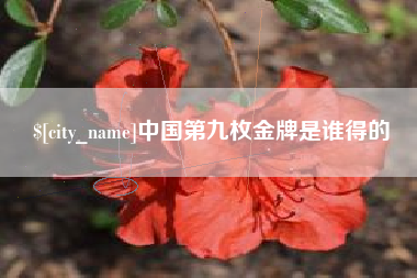 睢县中国第九枚金牌是谁得的