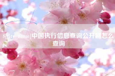 睢县中国执行信息查询公开网怎么查询