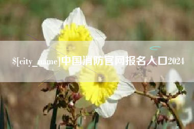 睢县中国消防官网报名入口2024