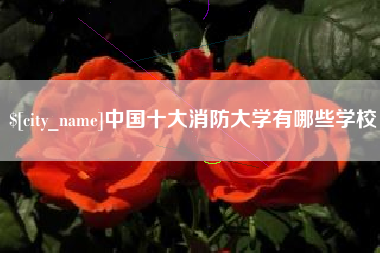 睢县中国十大消防大学有哪些学校