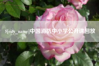 睢县中国消防中小学公开课回放