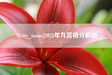 睢县2021年九宫格分解图