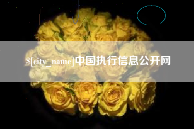 睢县中国执行信息公开网