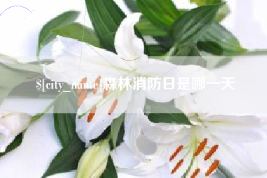 睢县森林消防日是哪一天