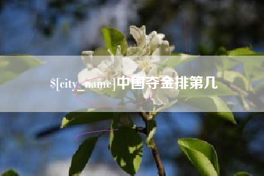睢县中国夺金排第几