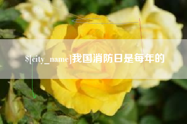 睢县我国消防日是每年的